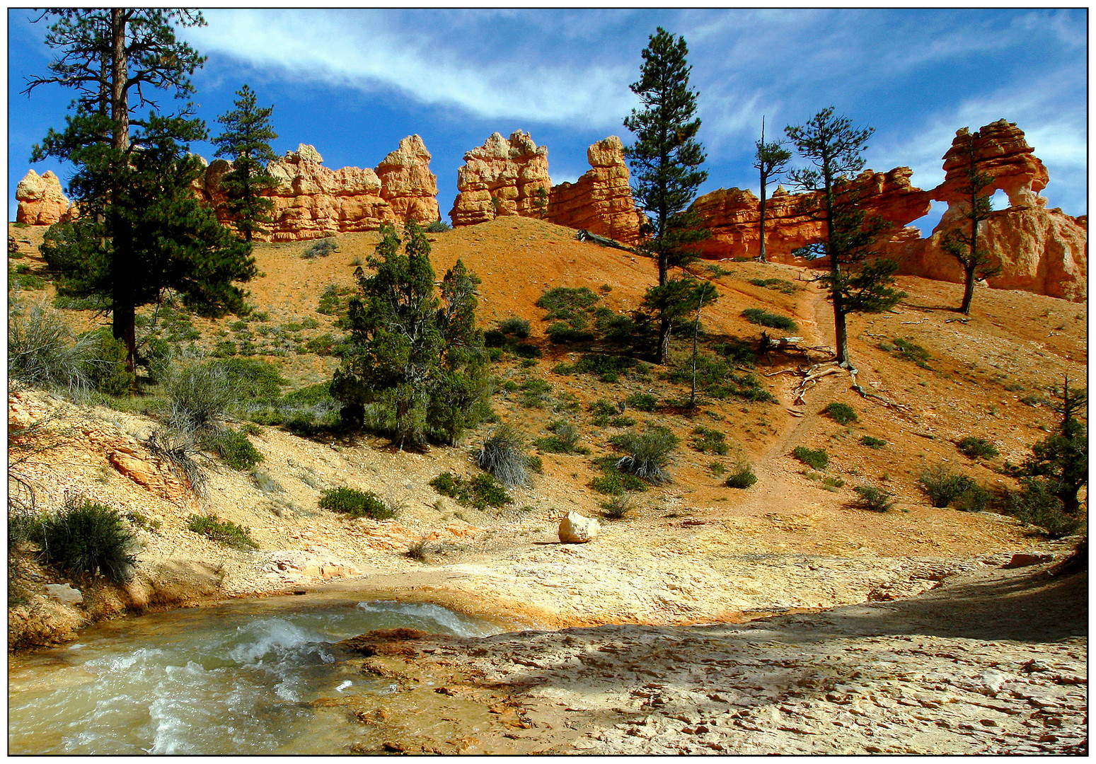 Bryce Canyon NP # 20