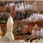 Bryce Canyon NP # 22