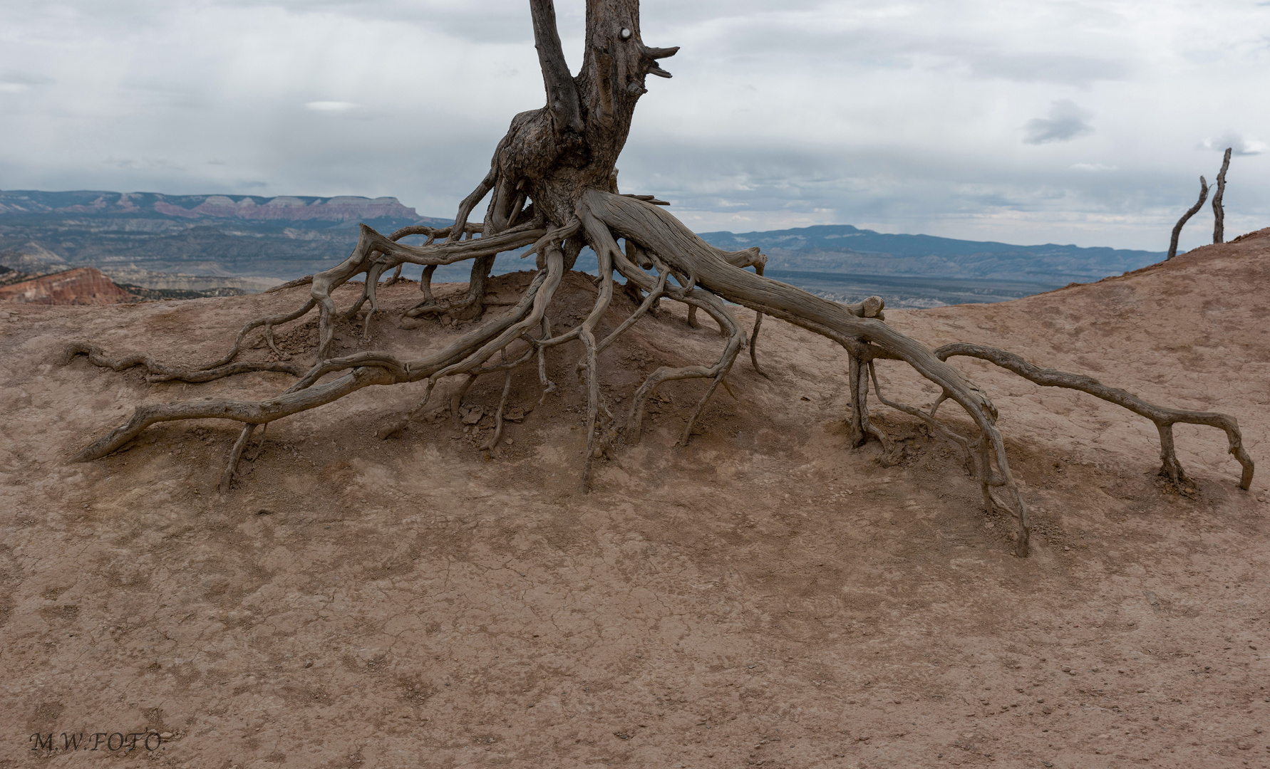 _Bryce Canyon-NP