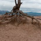 _Bryce Canyon-NP