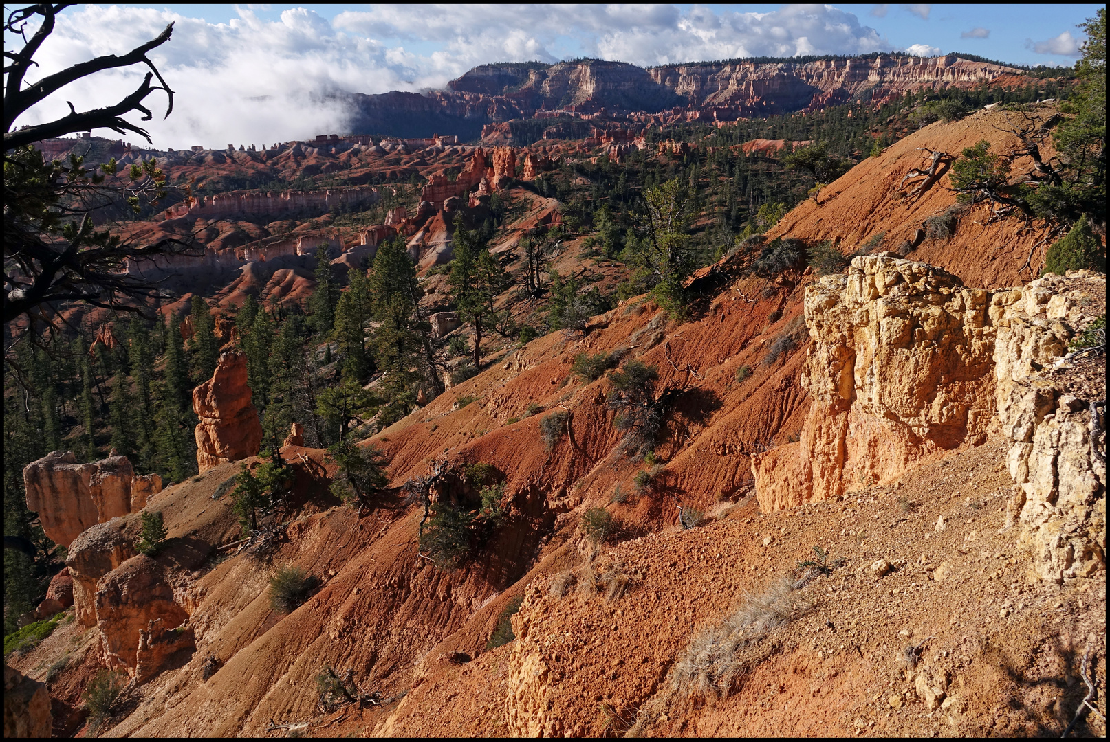 Bryce Canyon NP