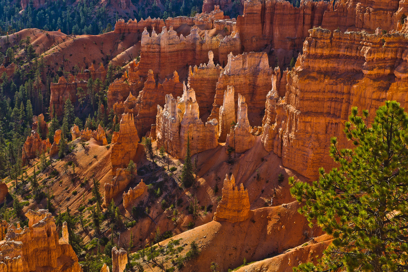 Bryce Canyon NP II