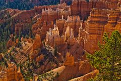 Bryce Canyon NP II