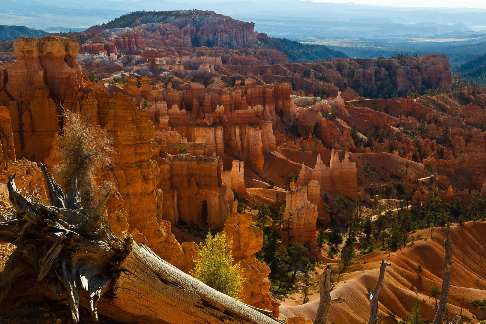 Bryce Canyon NP III