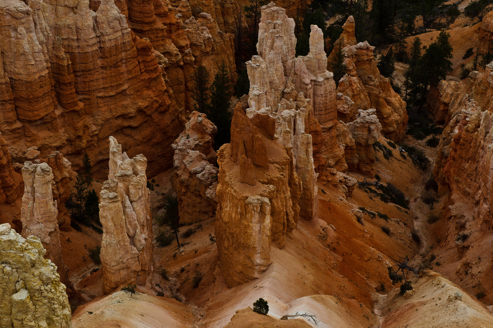 Bryce Canyon NP IV