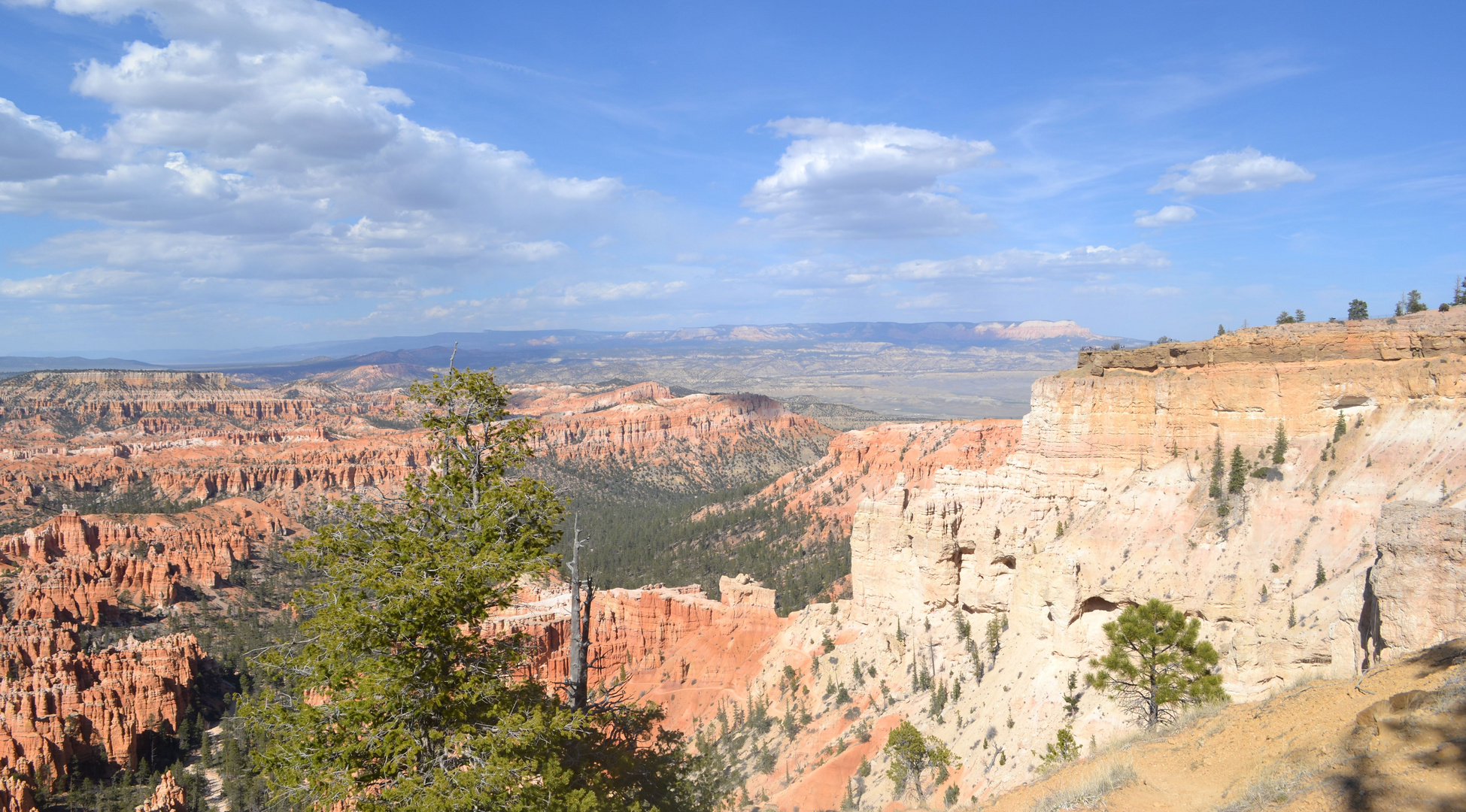 Bryce-Canyon NP Mai 2013