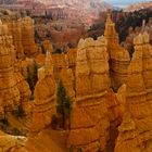 Bryce Canyon NP V