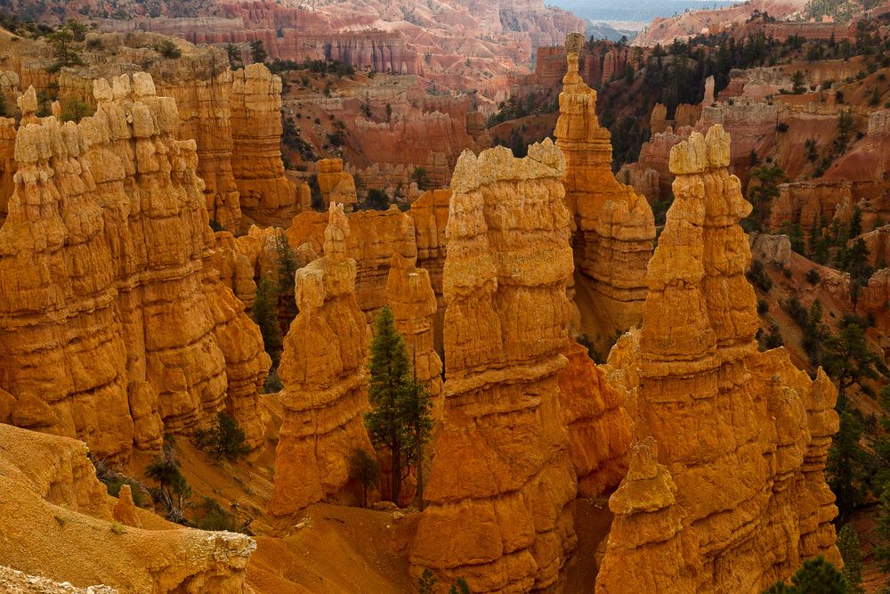 Bryce Canyon NP V