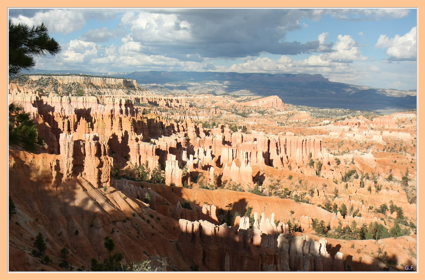 Bryce Canyon NP VI