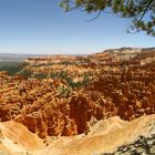 Bryce Canyon Panorama