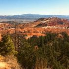 Bryce Canyon - Panorama