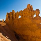 Bryce Canyon sculpture...