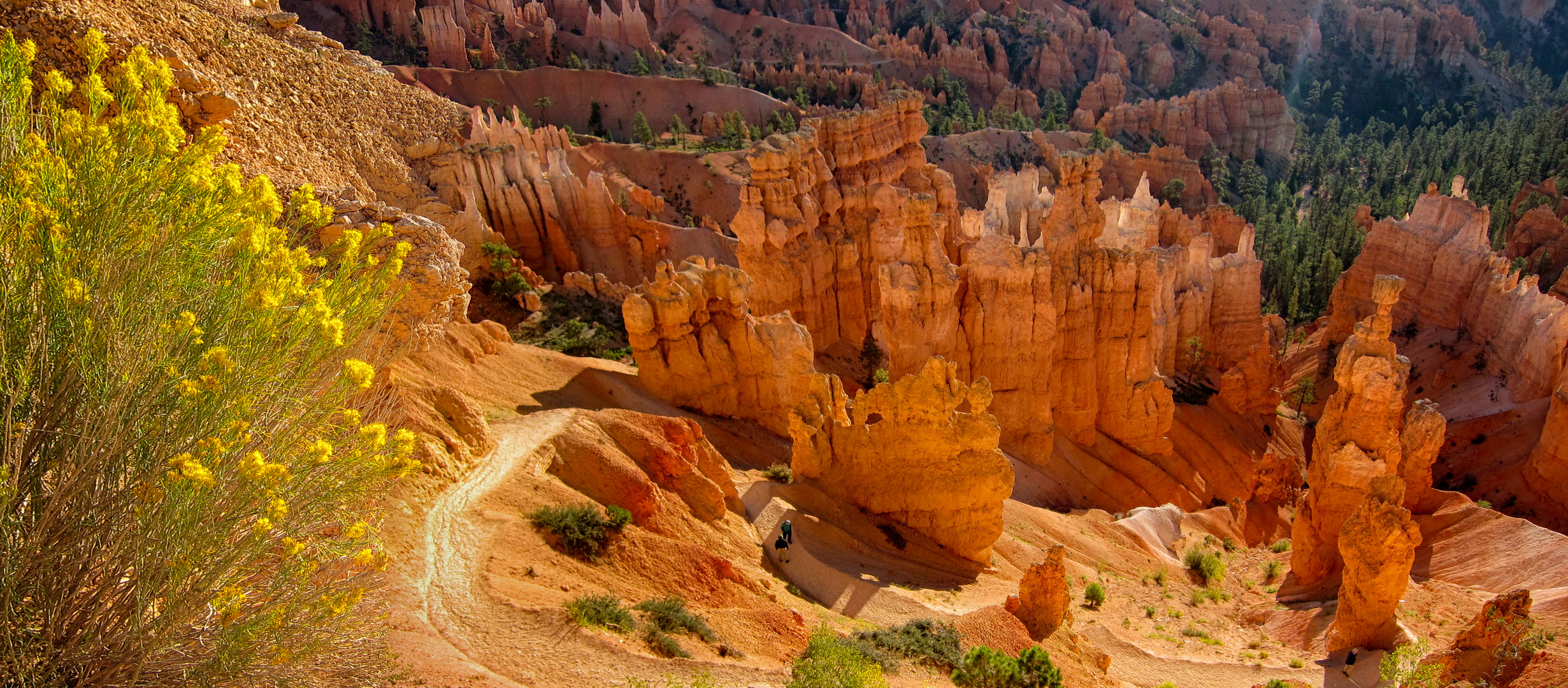 Bryce Canyon.... sieht so schön warm aus..