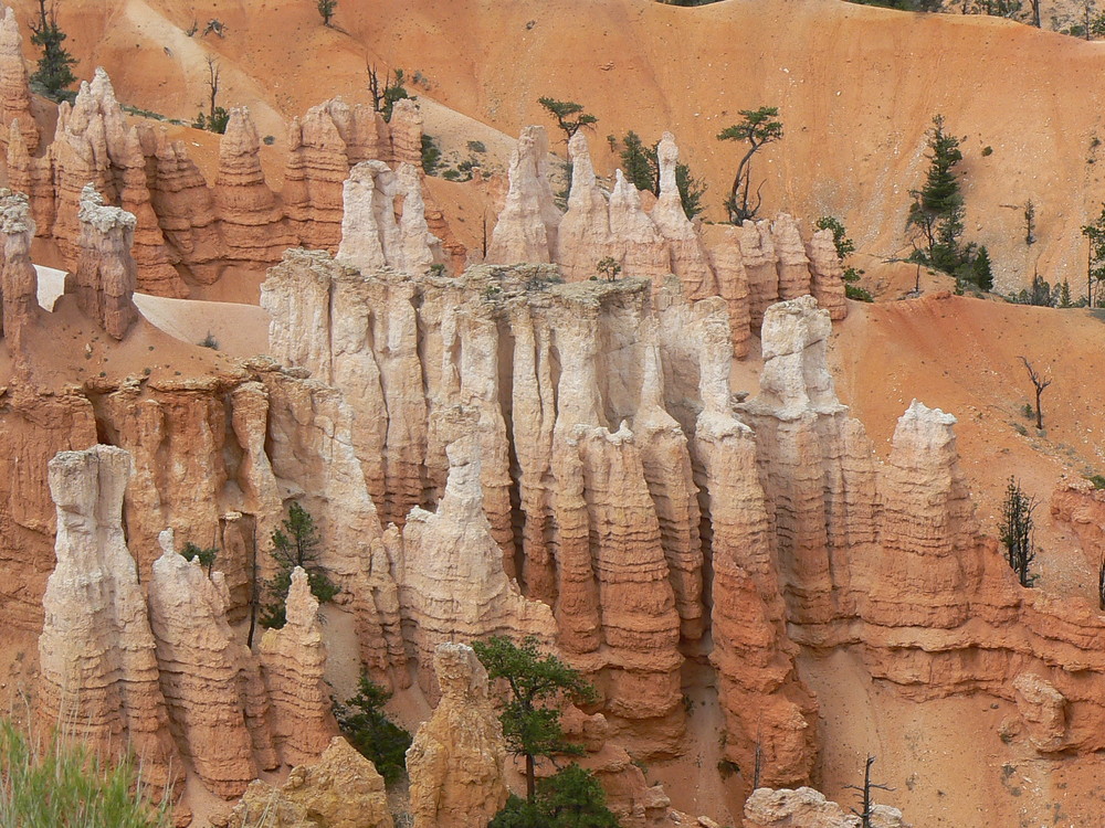 Bryce Canyon Sommer 2008