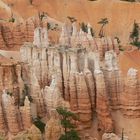 Bryce Canyon Sommer 2008