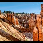 Bryce Canyon Sonnenaufgang