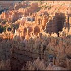 Bryce Canyon - sunrise