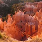 Bryce Canyon - Sunrise at Sunset Point :-)