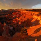 Bryce Canyon Sunrise II