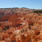 Bryce Canyon - Sunrise Point