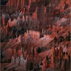 Bryce Canyon, Sunrise @ Sunrise Point (wie originell :) )