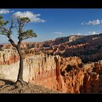 [ Bryce Canyon Sunset ]