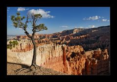 [ Bryce Canyon Sunset ]