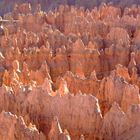 Bryce Canyon - Sunset Point