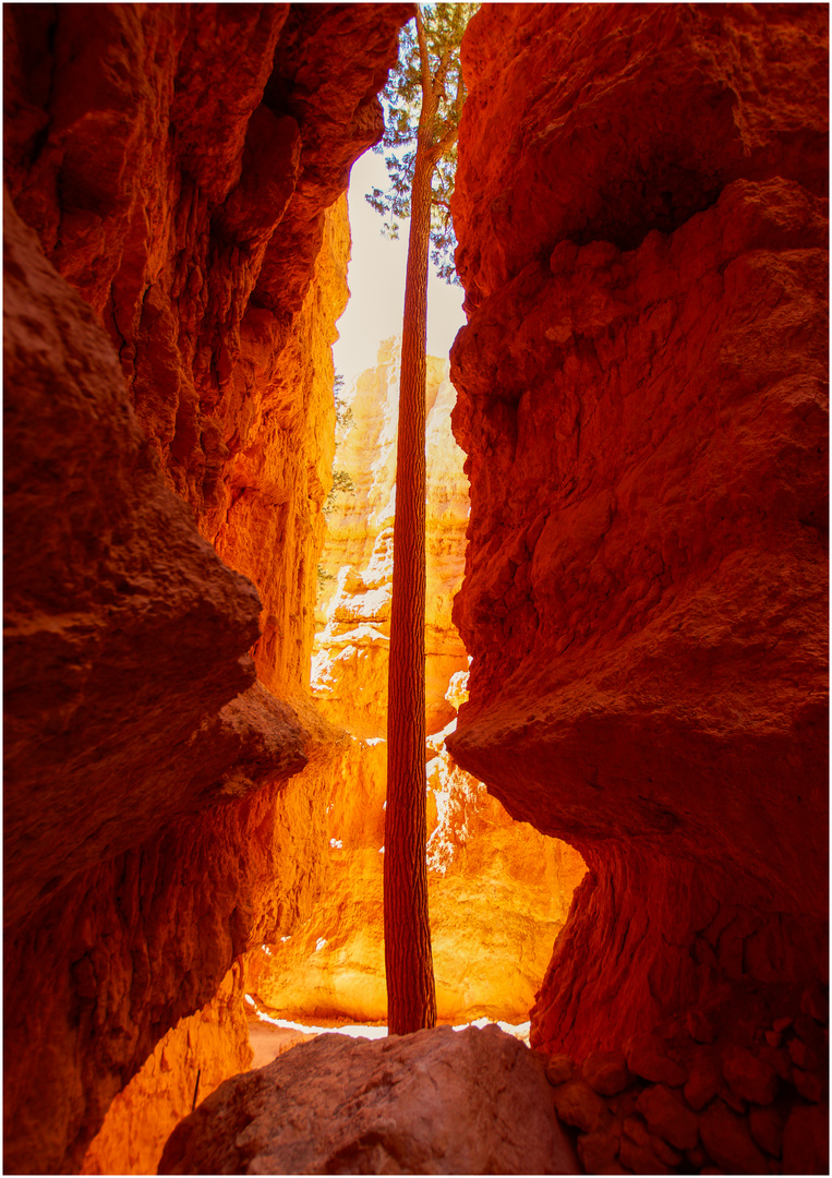 Bryce Canyon Teil III