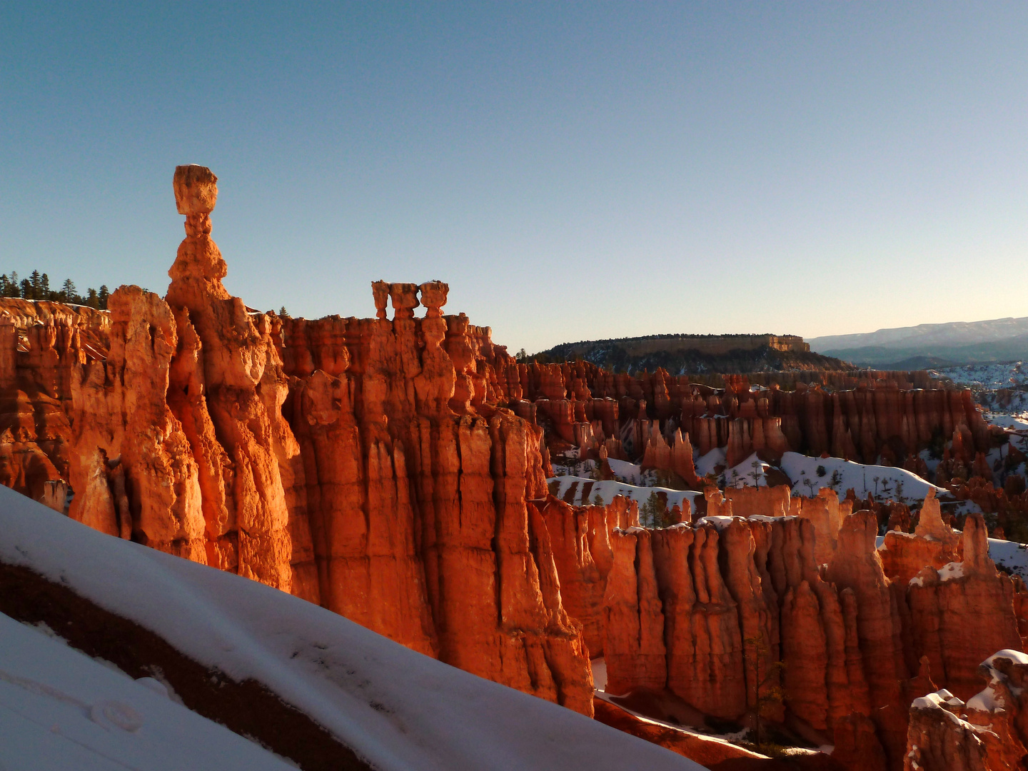 Bryce Canyon: Thor´s Hammer