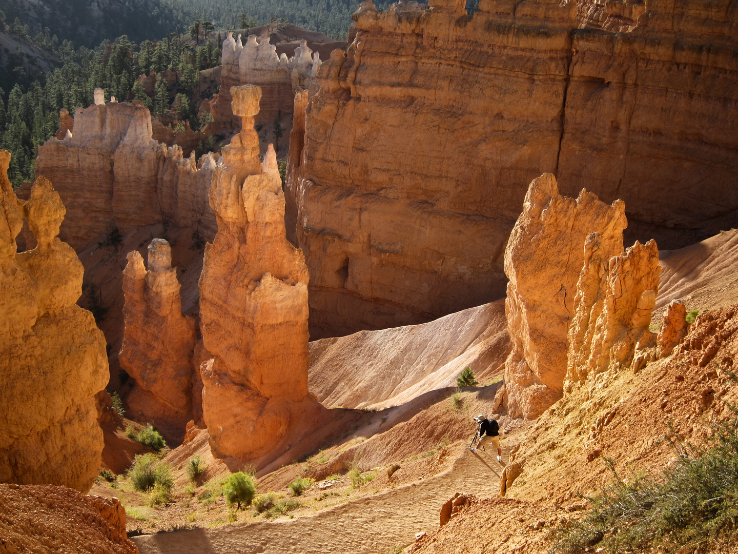 Bryce Canyon - Thors Hammer