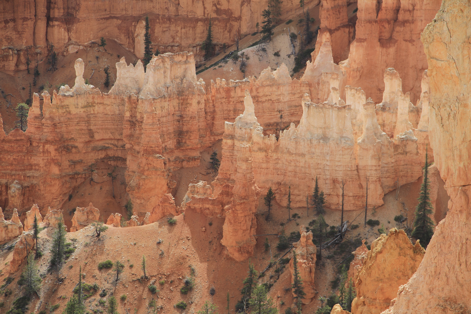 Bryce Canyon Türme und Zinnen