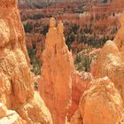 Bryce Canyon Turmpaar