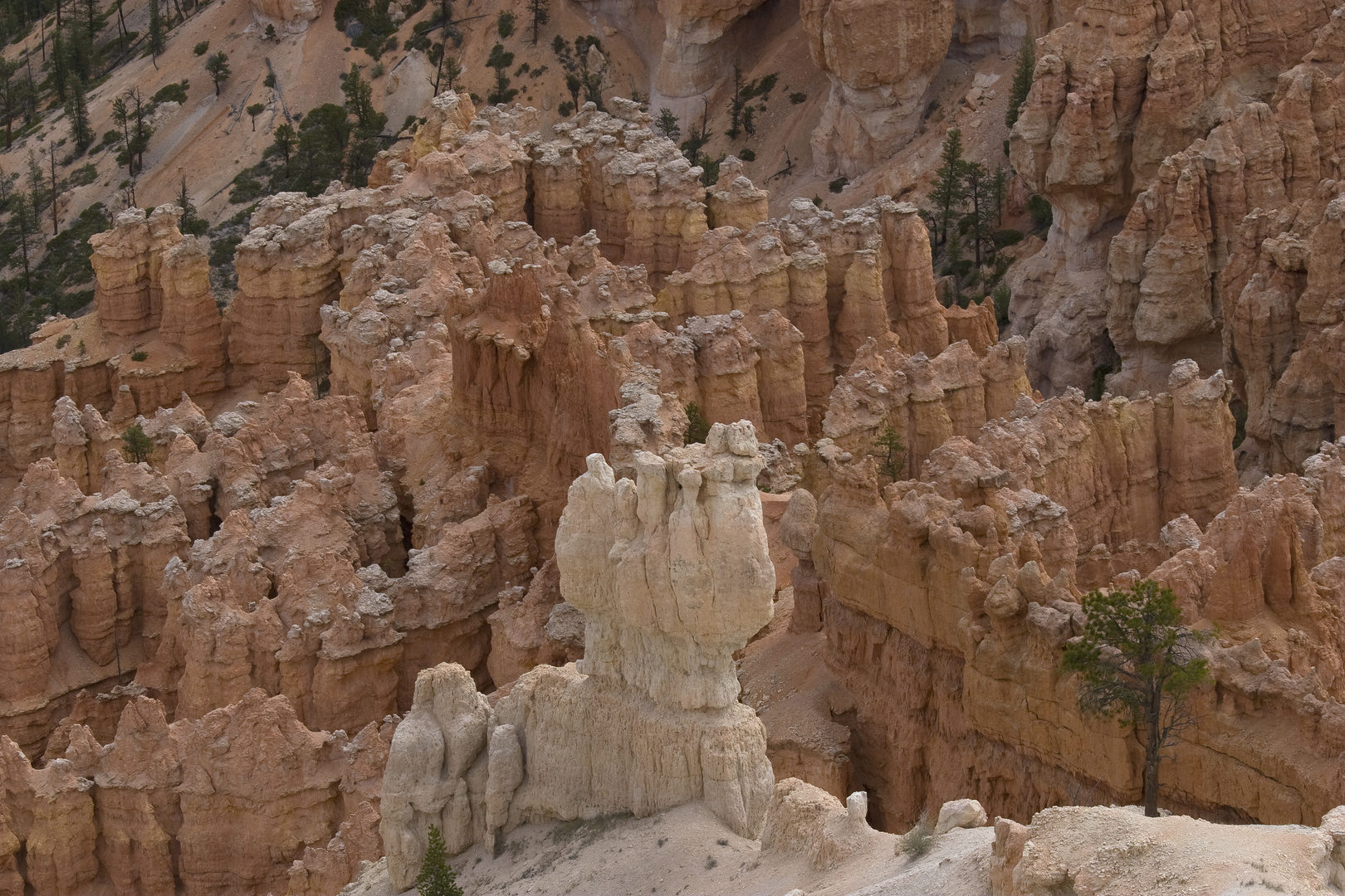 Bryce Canyon (USA)