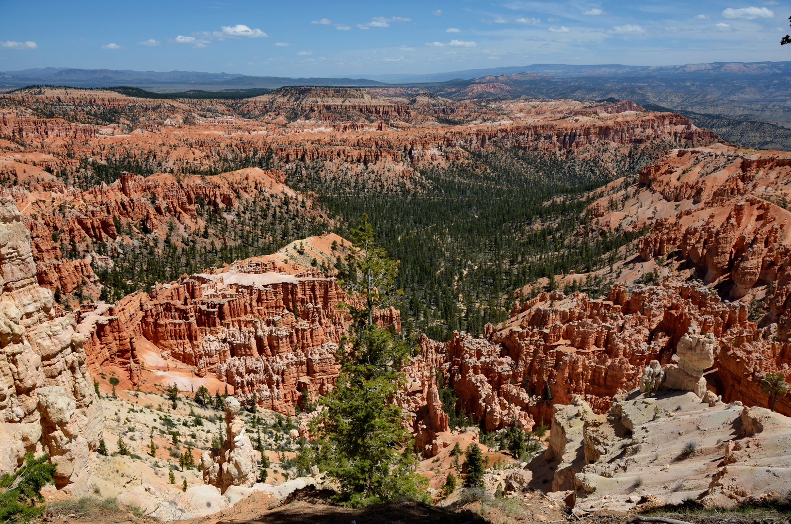 Bryce-Canyon, USA