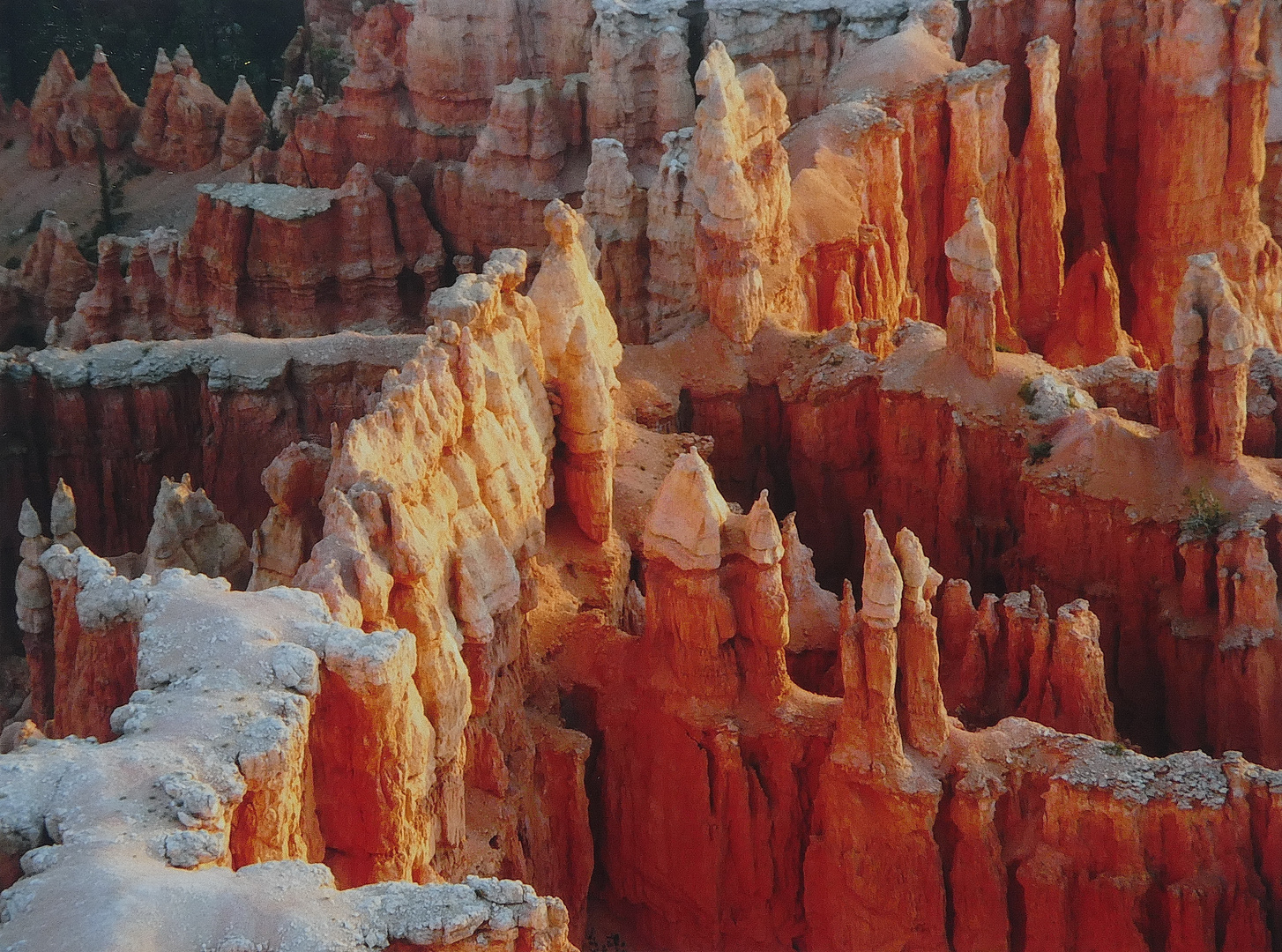 Bryce Canyon           USA