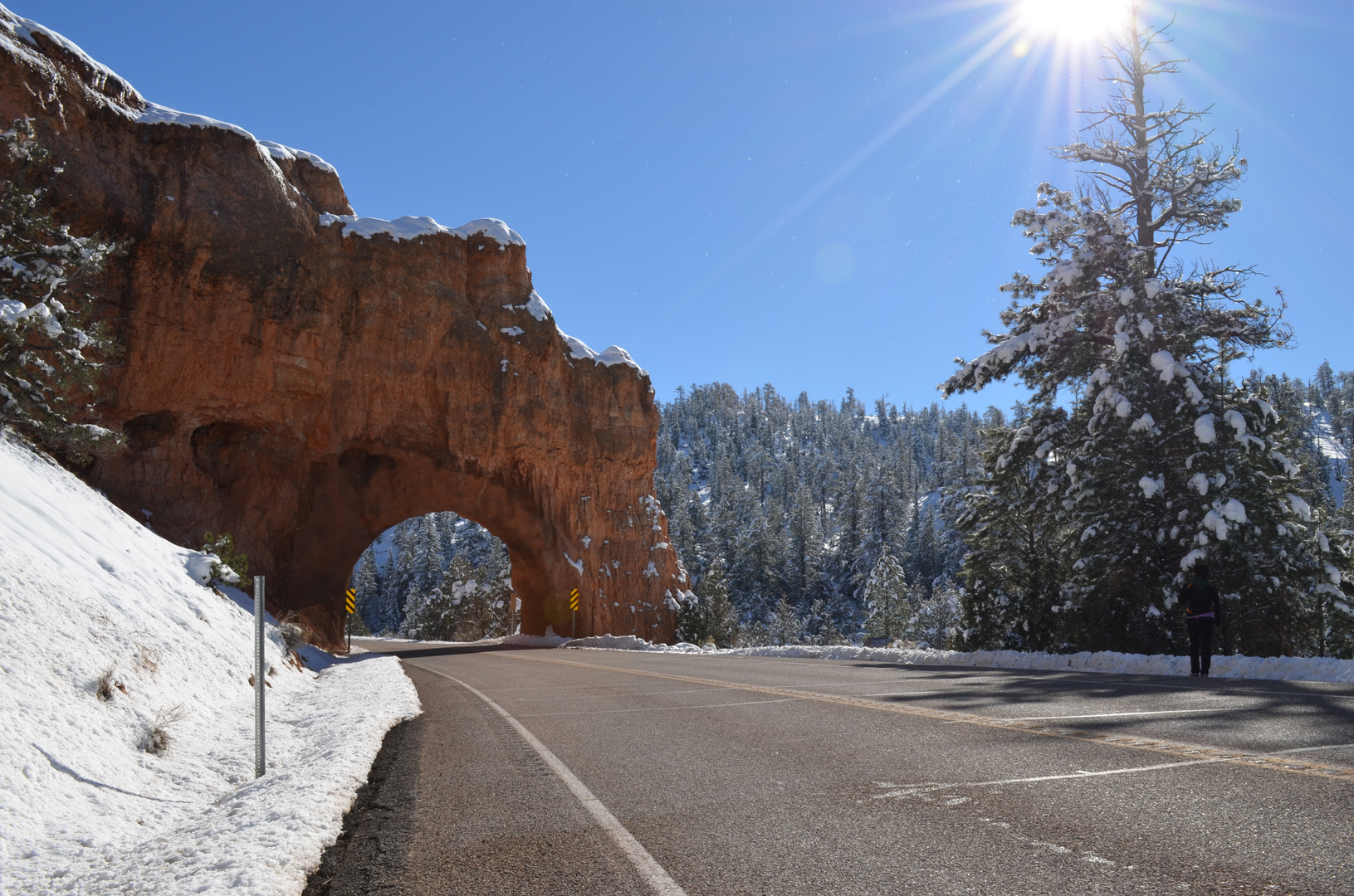 Bryce Canyon (USA)