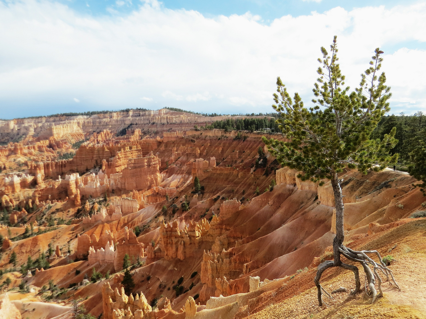  Bryce Canyon Utah