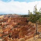  Bryce Canyon Utah