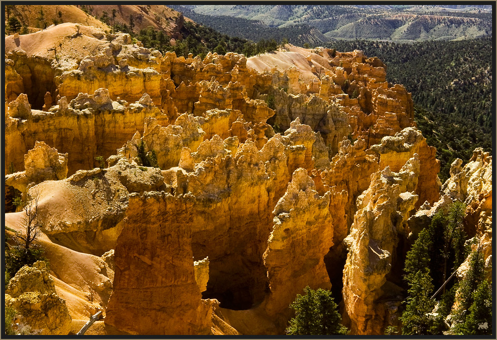 Bryce Canyon ( Utah )