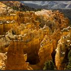 Bryce Canyon ( Utah )