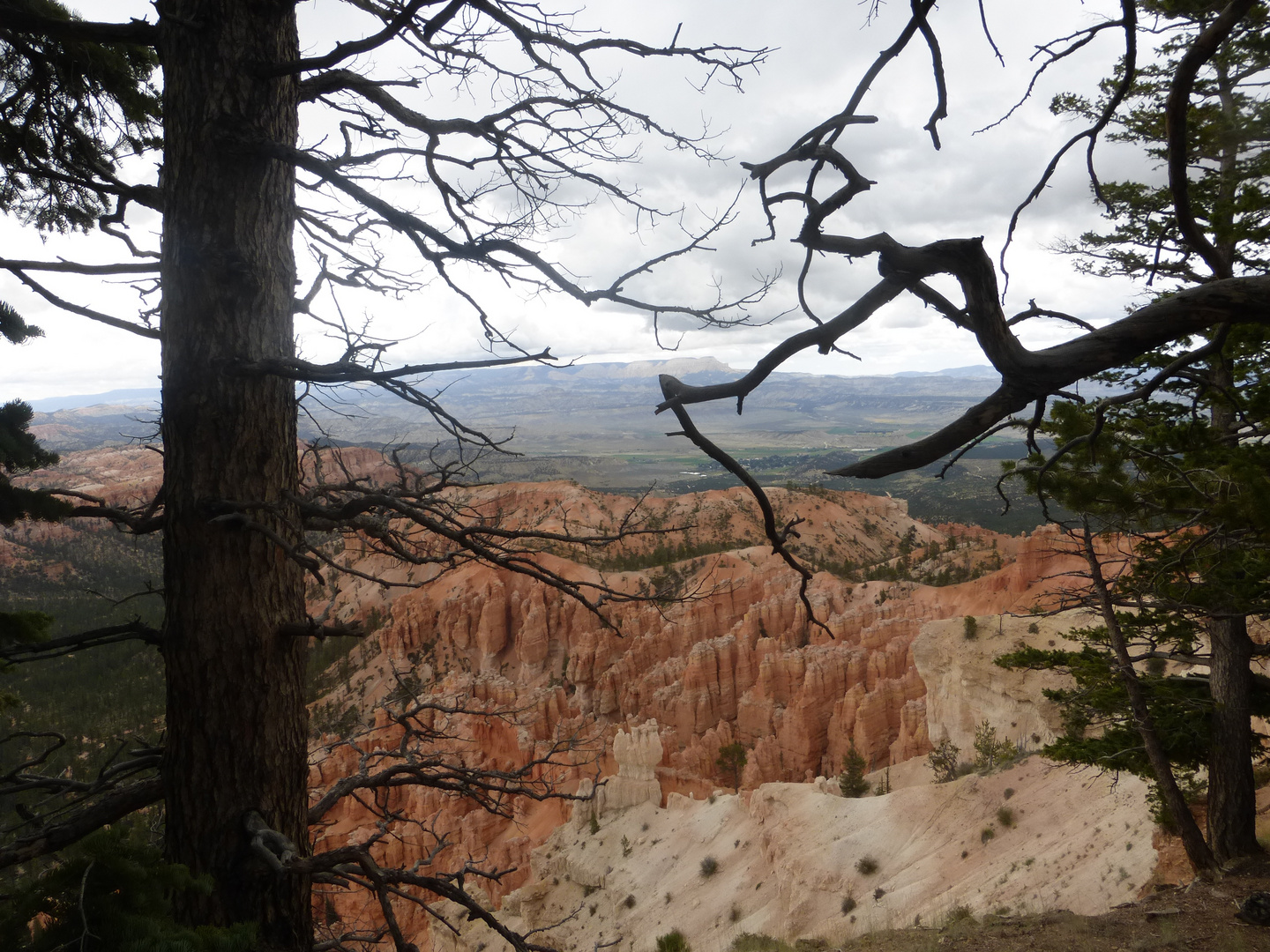 Bryce Canyon, Utah