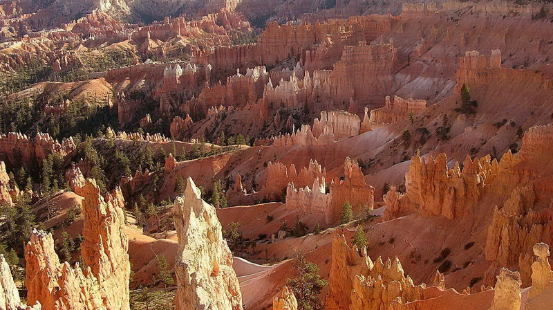 Bryce Canyon / Utah