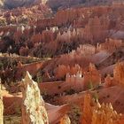 Bryce Canyon / Utah