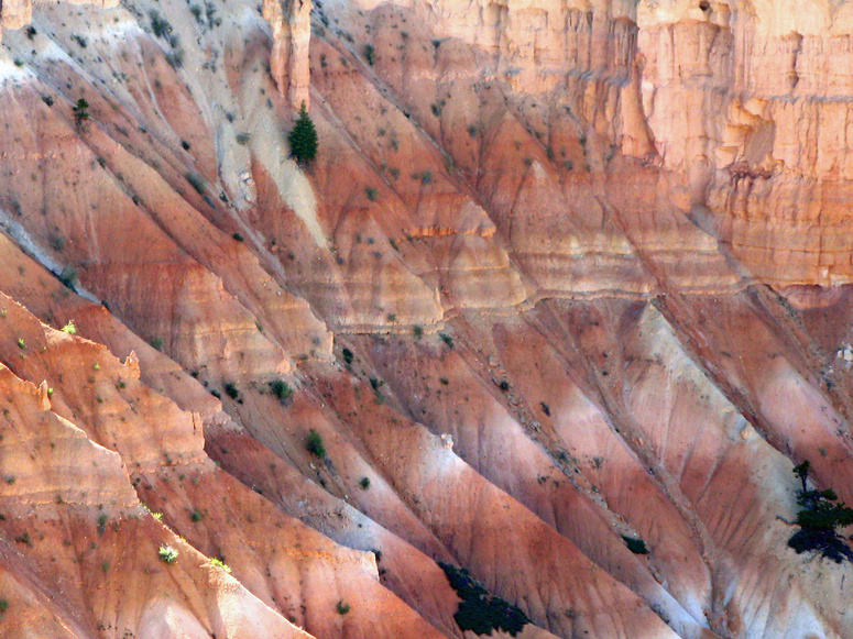 Bryce Canyon (Utah) II