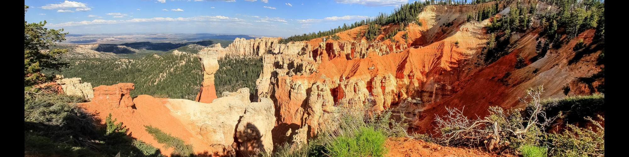 Bryce Canyon V