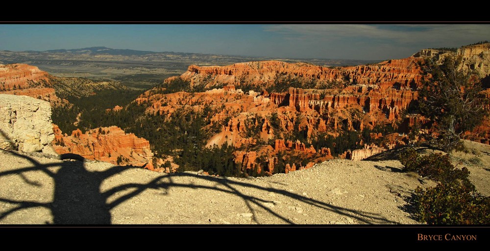 Bryce Canyon V