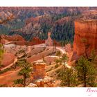 Bryce Canyon View