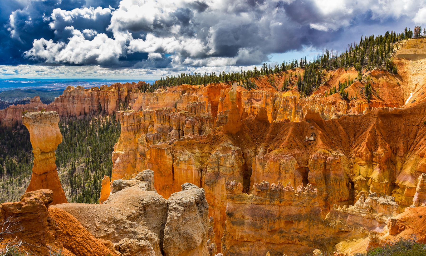 Bryce Canyon View