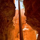 Bryce Canyon Wallstreet Trail